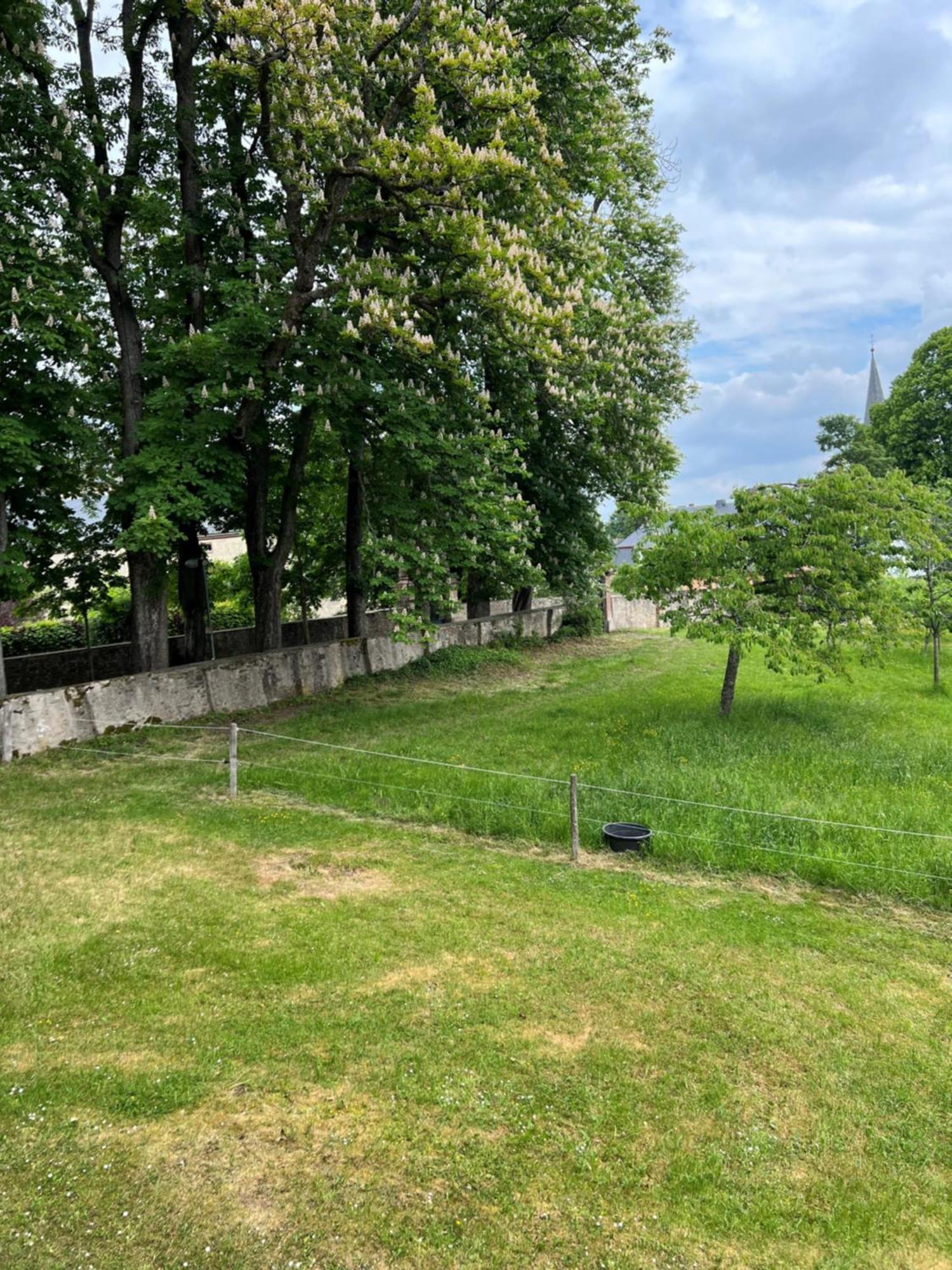 L' Extravagante Im Garten Von Schloss Schmidtheim Exterior photo